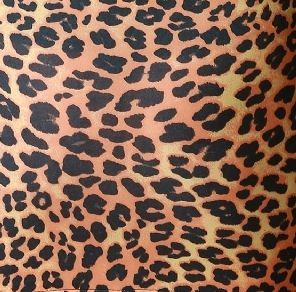 Leopar Mikro Mini Bikini Takım ABM181