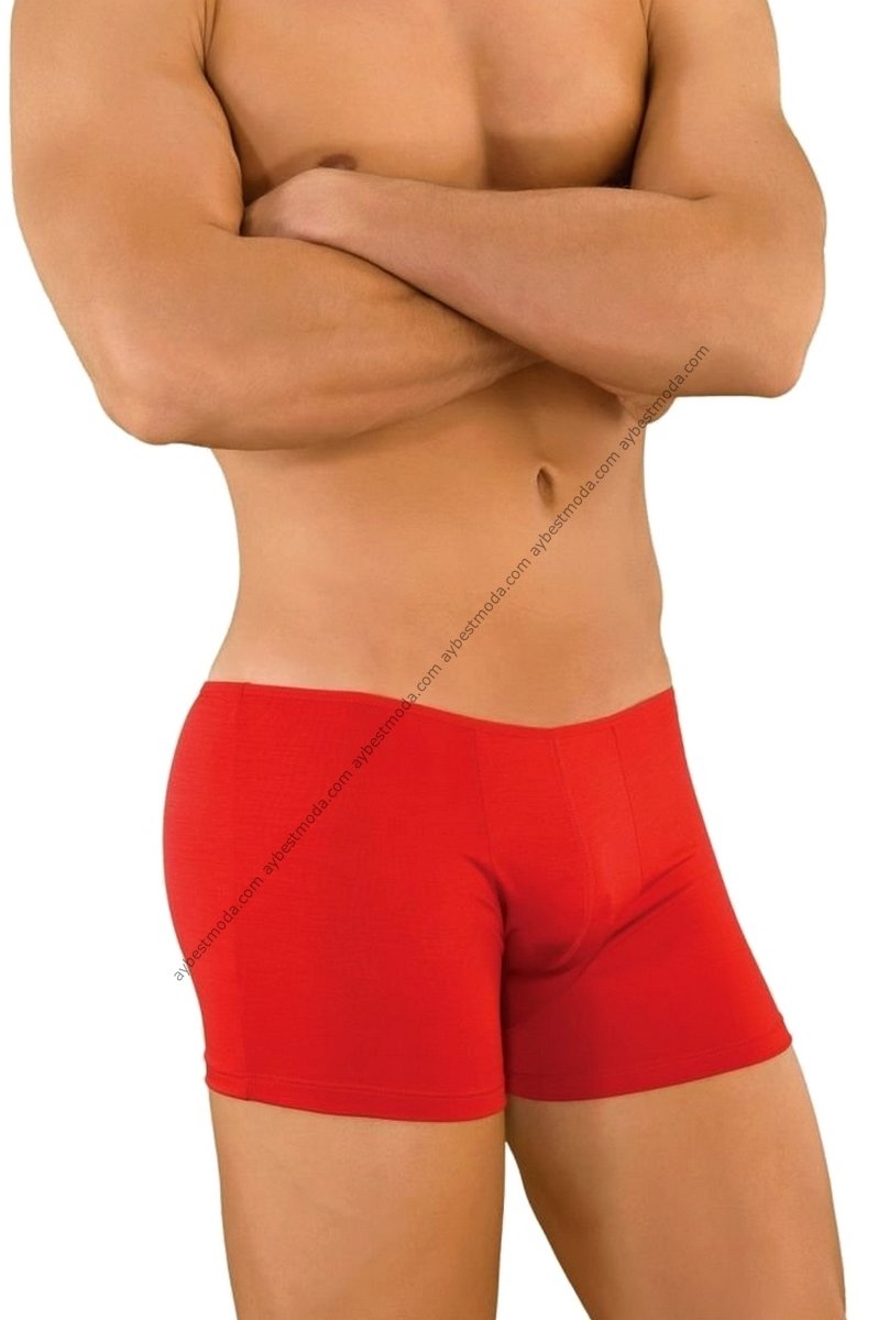 Vücudu Saran Erkek Mini Boxer ABM1465