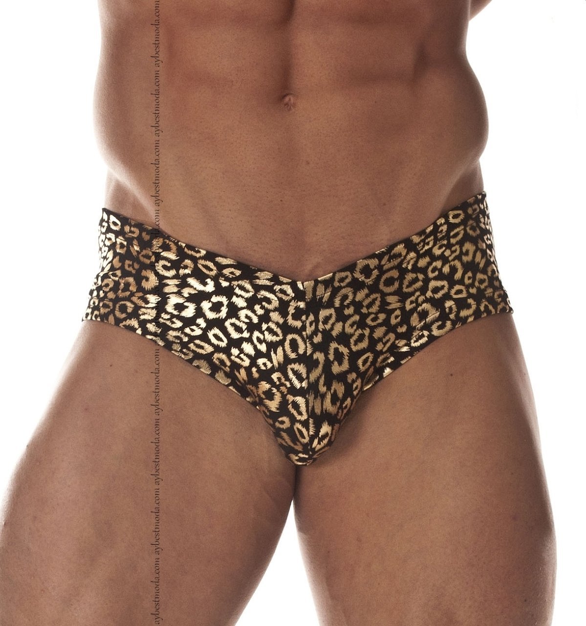 Leopar Desenli Erkek Yüksek Bel Slip ABM5782