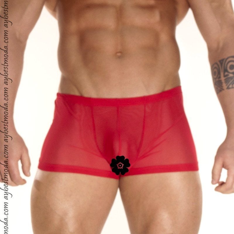 Transparan Erkek Boxer ABM5866
