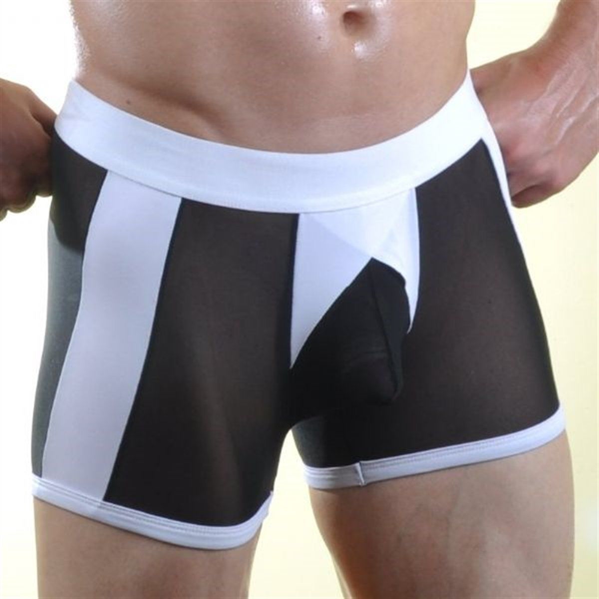 Şeritli Transparan Seksi Erkek Boxer ABM2976