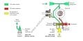 Suntec E7NC 10015P Fuel Oil Yakıt Pompası