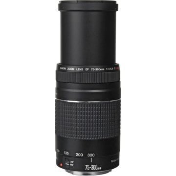 Canon EF 75-300mm f/4-5.6 USM Lens