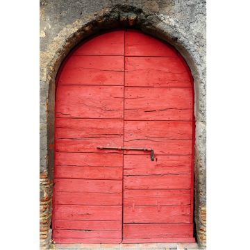 Savage Yıllanmış Kırmızı Kapı Vinil Fon