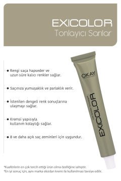 EXICOLOR 2'Lİ SET Tonlayıcı T.10 BUZ SARISI Kalıcı Krem Saç Boyası (60ml x 2 adet)