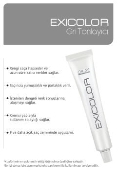 EXICOLOR 2'Lİ SET BARUT GRİ Kalıcı Krem Saç Boyası (60ml x 2 adet)