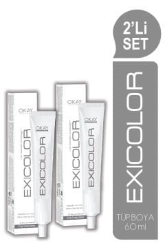 EXICOLOR 2'Lİ SET SOĞUK GRİ Kalıcı Krem Saç Boyası (60ml x 2 adet)