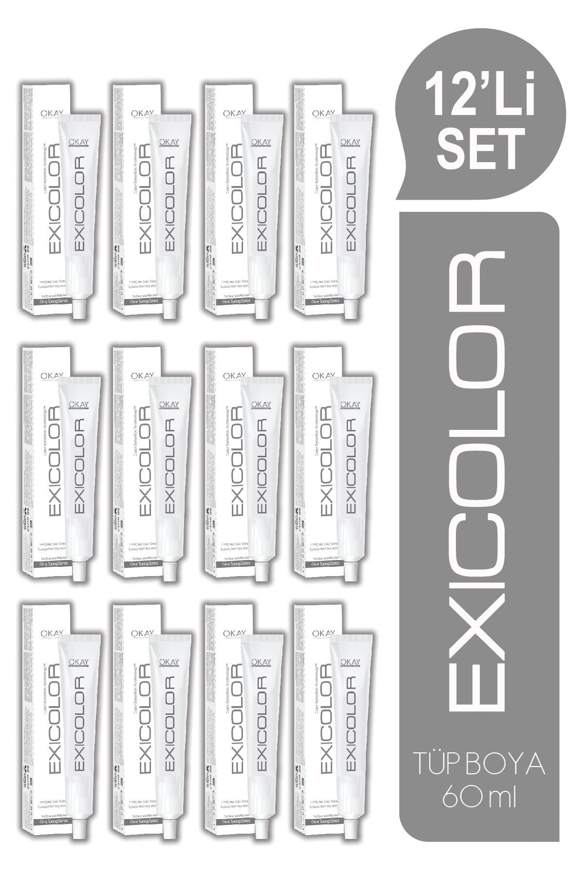 EXICOLOR 12'Lİ SET SOĞUK GRİ Kalıcı Krem Saç Boyası (60ml x 12 adet)