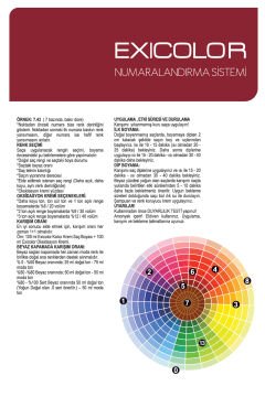 EXICOLOR 12'Lİ SET 10.111 EKSTRA KÜLLÜ PLATİN Kalıcı Krem Saç Boyası (60ml x 12 adet)