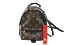 LOUIS VUITTON Palm Springs Mini Backpack-Sırt Çantası
