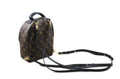 LOUIS VUITTON Palm Springs Mini Backpack-Sırt Çantası