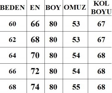 Büyük Beden Erkek Ceket CK106 68