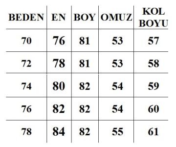 Büyük Beden Erkek Ceket CK106 68
