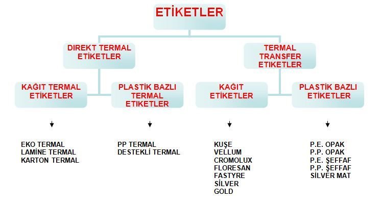 Termal Transfer Baskı mı  Doğrudan Termal Baskımı