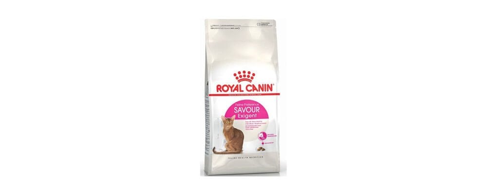 Royal Canin Kedi Maması Çeşitleri İle Kedinizi Sadece Doyurmak Yerine İyi Besleyin