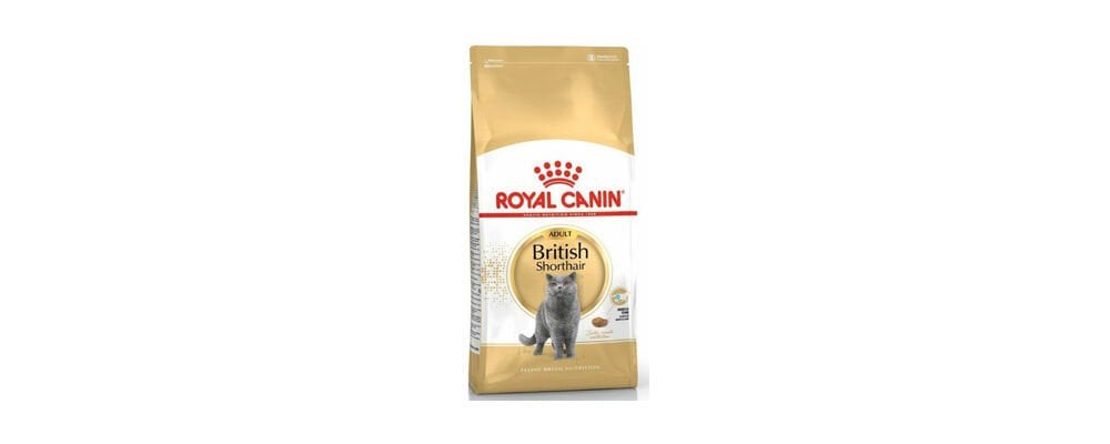 Veteriner Hekimlerin Önerdiği Royal Canin Kedi Maması Çeşitleri