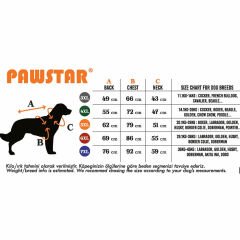 PawStar Siyah Railway Büyük Irk Köpek Yelek 4XL