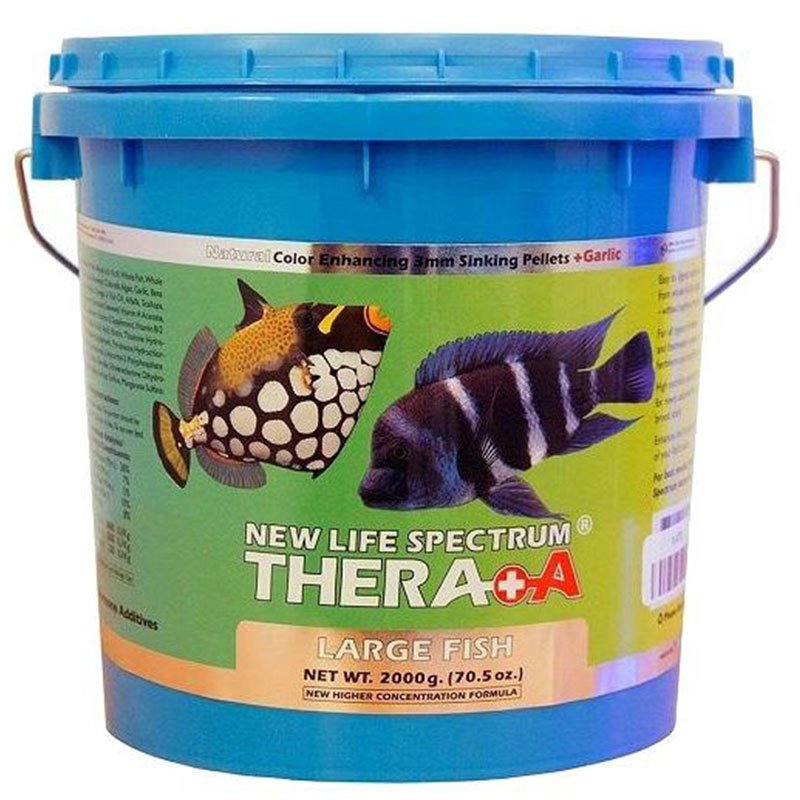New Life Spectrum Thera A+ Large Fish Balık Yemi 2000 gr - 3mm