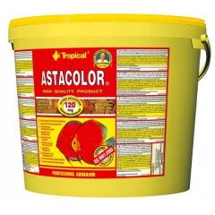Tropical AstaColor 50 gr Açık Paket