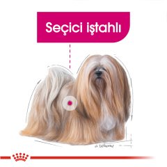 Royal Canin Mini Exigent 3 kg Köpek Maması