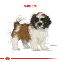Royal Canin Shih Tzu Puppy 1,5 Kg Yavru Köpek Irk Maması