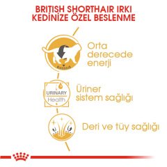 Royal Canin British Short Hair Pouch 85 gr x 12 adet