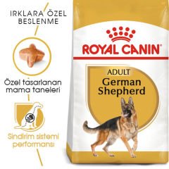Royal Canin German Shepherd Adult 11 kg Köpek Irk Maması