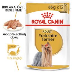 Royal Canin Yorkshire Terrier Pouch 85 gr x 12 adet