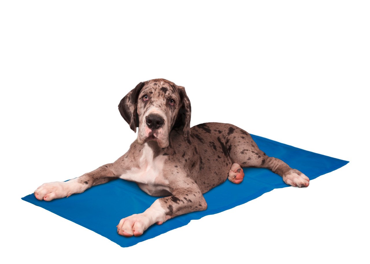 Karlie Mavi Soğutucu Mat Köpek Yatağı Xl 100 x 60 cm