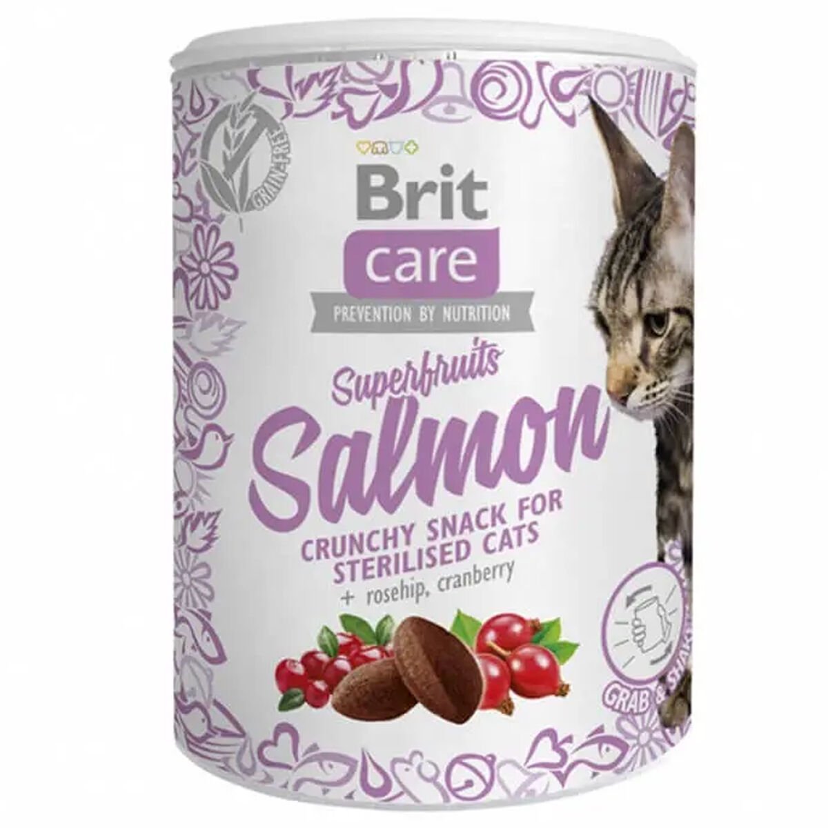 Brit Care Cat Snack Super Fruits Salmon 100 Gr Kedi Ödülü