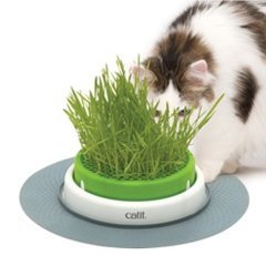 Catit Senses Kedi Otu Yetiştirme Kabı