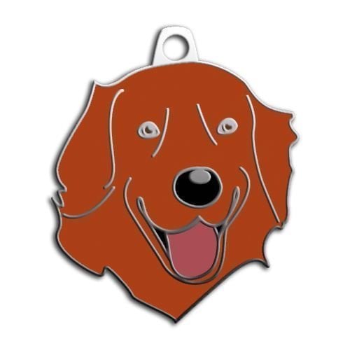 Dalis Pet Tag - Kizil Golden Retriever Köpek Künyesi