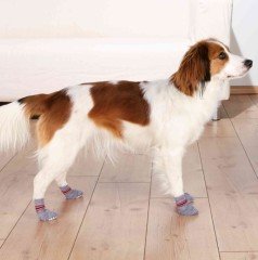 Trixie Köpek Çorabı L 2 li
