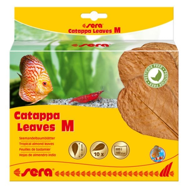 Sera Catappa Yaprağı M 18 Cm 10 Adet