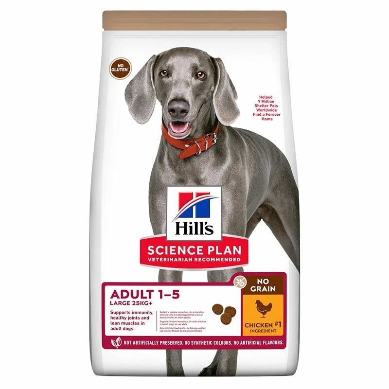 Hills Adult Large Breed No Grain Chicken Tahılsız Köpek Maması 12 Kg