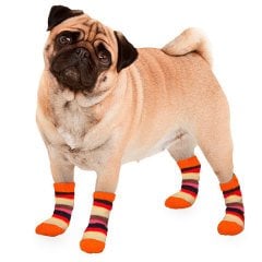 Karlie Çizgili Köpek Çorabı Small  2 Adet
