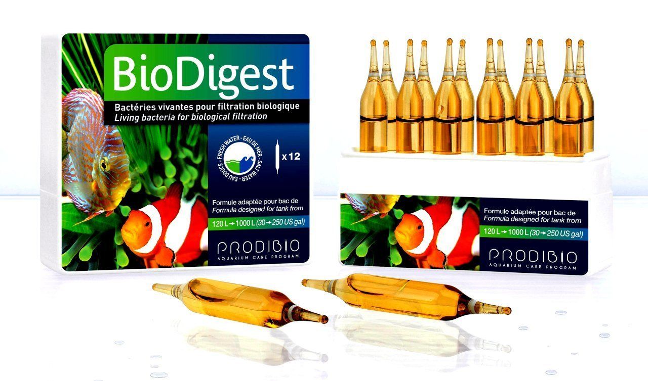 Prodibio BioDigest 12 Ampul
