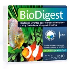 Prodibio BioDigest 12 Ampul