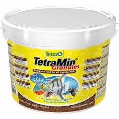 Tetra Tetramin Granules Balık Yemi 100 gr - Açık Paket