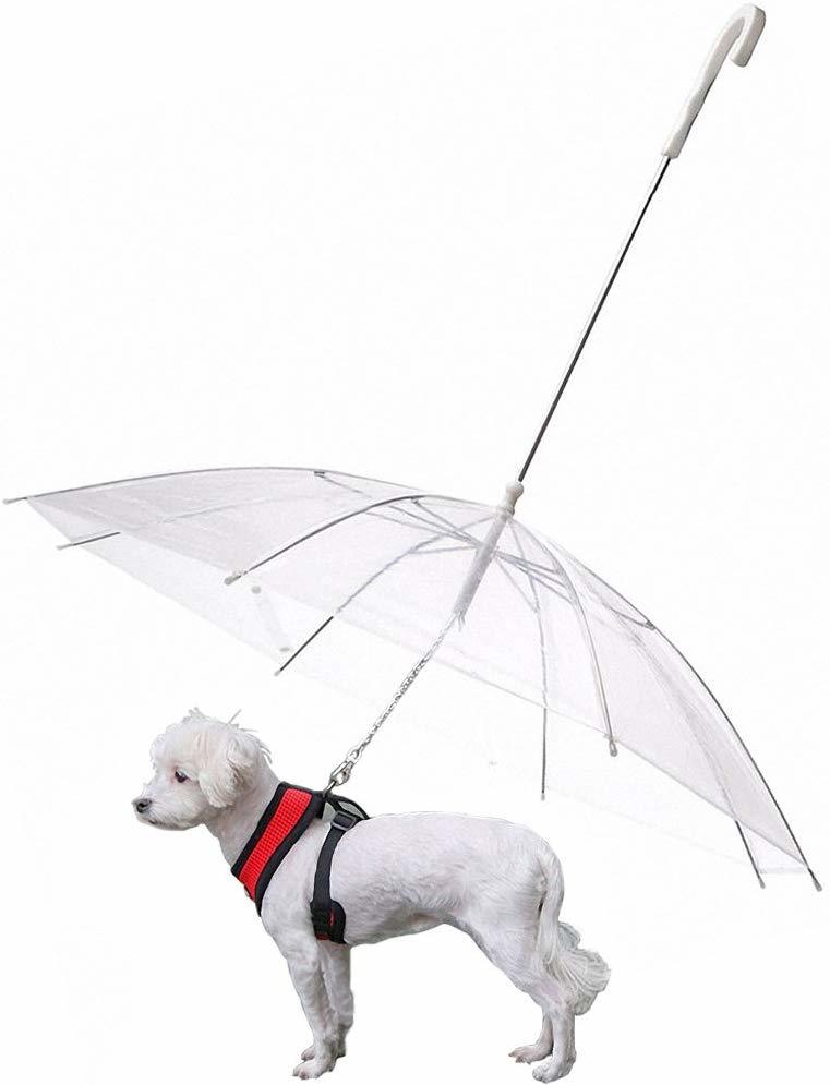 Chicos Köpek Gezdirme Şemsiyesi