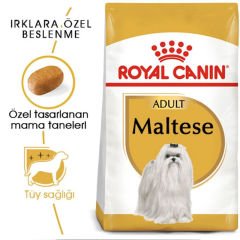 Royal Canin Maltese Adult 1,5 Kg Köpek Irk Maması