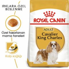 Royal Canin Cavalier King Charles Adult 1,5 kg Köpek Irk Maması