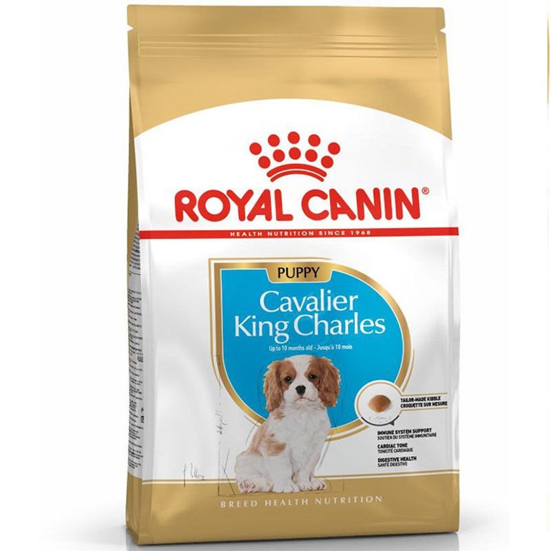 Royal Canin Cavalier King Charles Puppy 1,5 kg Yavru Köpek Irk Maması