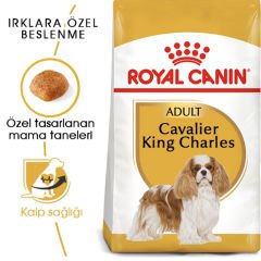 Royal Canin Cavalier King Charles Adult 3 kg Köpek Irk Maması