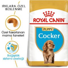 Royal Canin Cocker Puppy 3 Kg Yavru Köpek Irk Maması