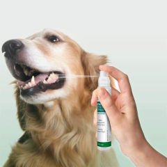 VET'S BEST Naneli Aloeveralı Köpek Ağız Diş Bakım Spreyi 14 ml