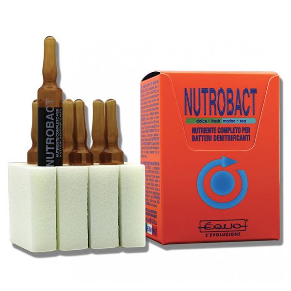 Equo Nutrobact Denetrefik Bakteri Kombin Beslenme 5 ml x 6 Ampul