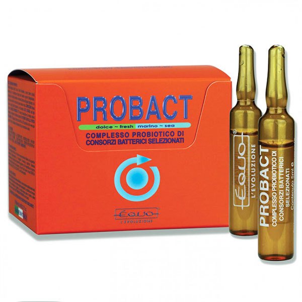 Equo Probact Probiyotik Kompleks 5 ml x 24 Ampul