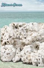 Natures Ocean Coral Reef Rock Doğal Akvaryum Resif Kayası 18,14 kg