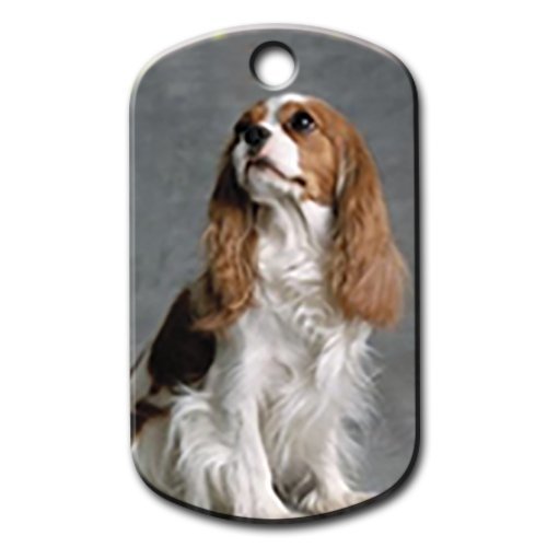 Dalis Pet Tag - Cavalier King Charles Baskılı Köpek Künyesi